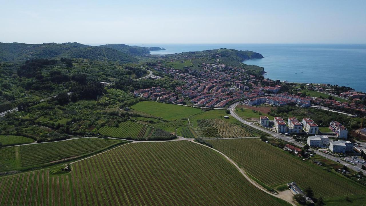Apartments Villa Sandi Izola Dış mekan fotoğraf